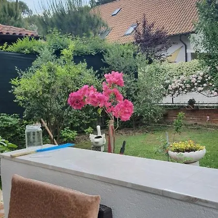 Holiday home Fshati Turistik Qerret Kavaje Durres *
